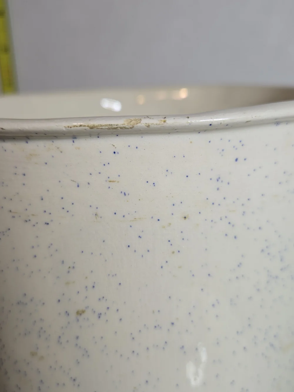 Vintage Canister Country Goose (Raised) Blue Speckled Spackle Glaze